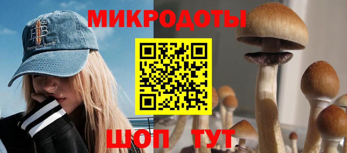 Псилоцибиновые грибы Psilocybe  Псилоцибиновые грибы прущие грибы  Вход с VPN  Ханты-Мансийск 